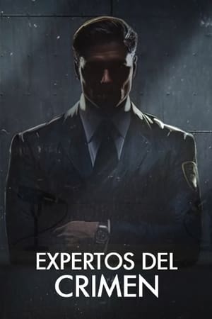 eXpertos del crimen Temporada 1 poster