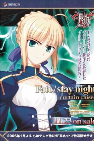 Fate/stay night Temporada 0 poster