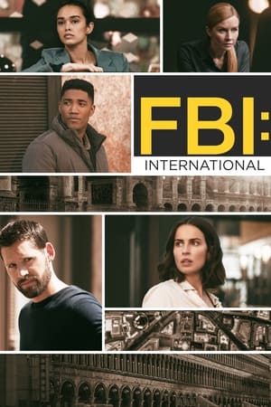 FBI: Internacional Temporada 2 poster
