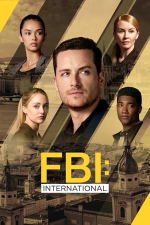 FBI: Internacional Temporada 4 poster