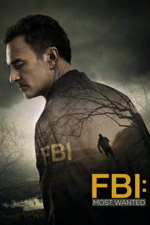 FBI: Most Wanted Temporada 1 poster