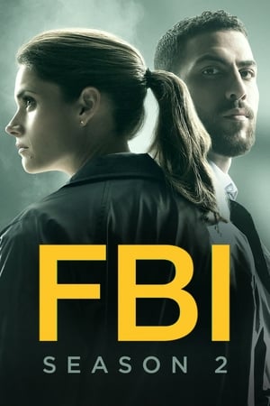 FBI - temporada 2 poster