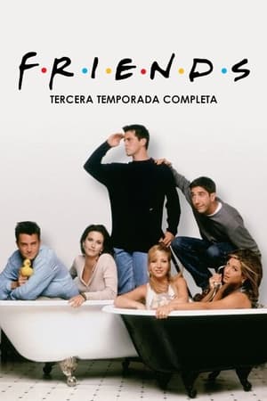 Friends Temporada 3 poster