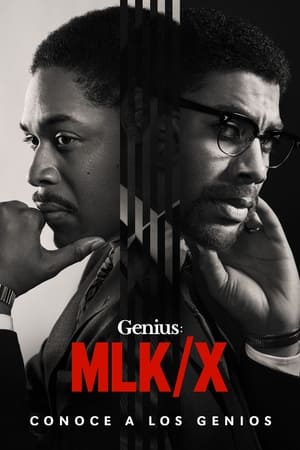 Genius Temporada 4 poster