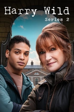 Harry Wild Temporada 2 poster