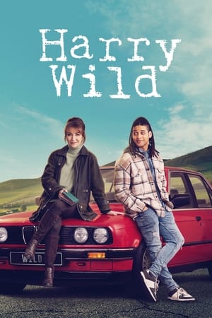 Harry Wild Temporada 3 poster