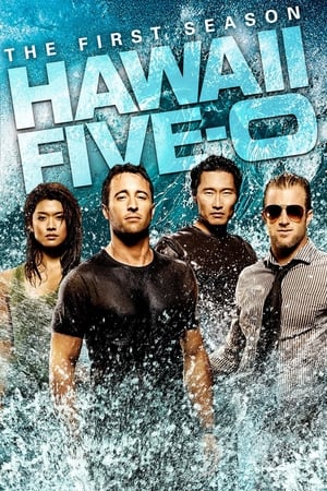 Hawái 5.0 - temporada 1 poster