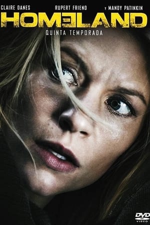 Homeland - temporada 5 poster