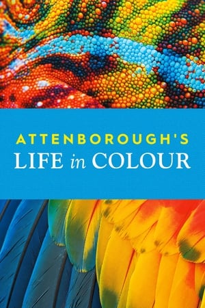 La vida a todo color, con David Attenborough Temporada 1 poster