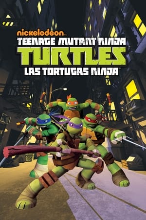 Las Tortugas Ninja Temporada 1 poster