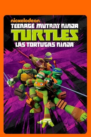 Las Tortugas Ninja Temporada 4 poster