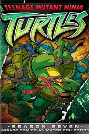 Las Tortugas Ninja