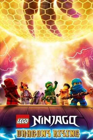 LEGO Ninjago: El renacer de los dragones Temporada 0 poster