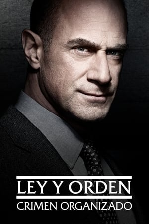 Ley y orden: Crimen organizado Temporada 1 poster