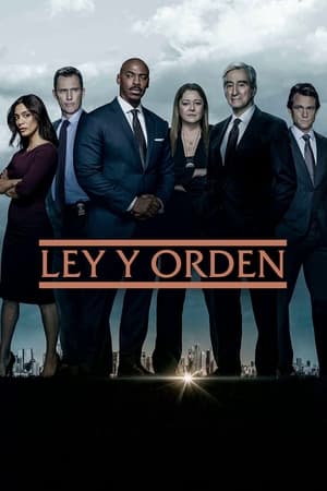 Ley y orden - temporada 22 poster