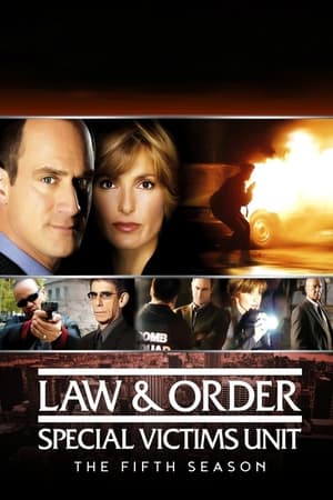 Ley y orden: Unidad de Víctimas Especiales temporada 5