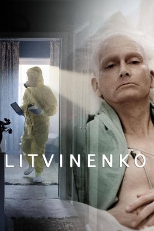 Litvinenko Temporada 1 poster