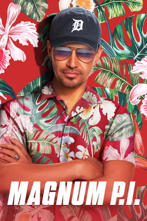 Magnum - temporada 1 poster