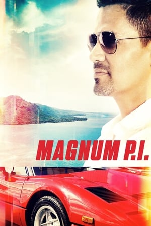 Magnum - temporada 2 poster