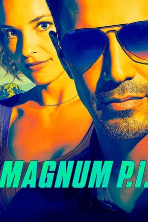 Magnum - temporada 5 poster