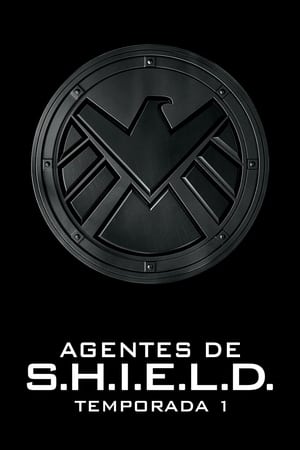 Marvel Agentes de S.H.I.E.L.D. - temporada 1 poster