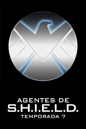 Marvel Agentes de S.H.I.E.L.D. - temporada 7 poster