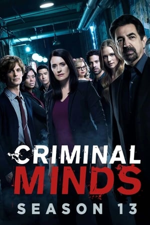 Mentes criminales temporada 13