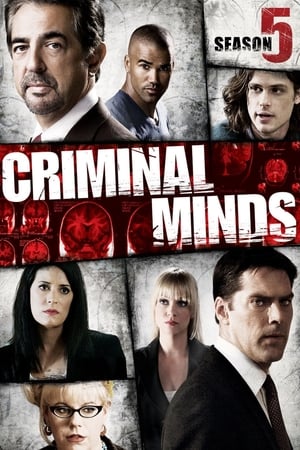 Mentes criminales temporada 5