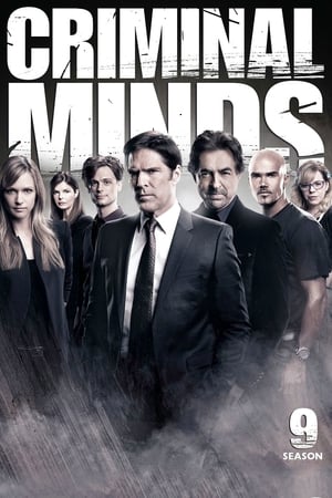 Mentes criminales temporada 9