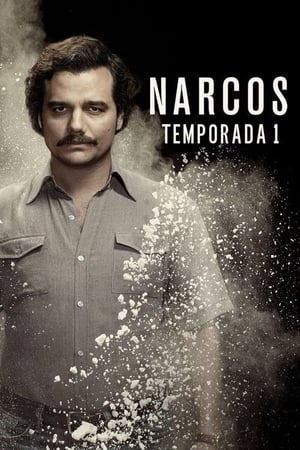 Narcos Temporada 1 poster