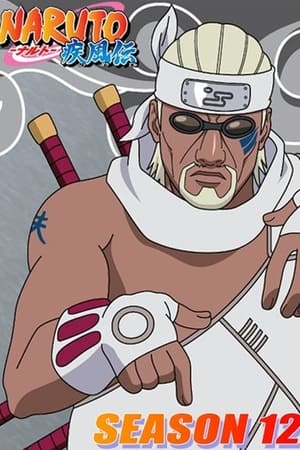 Naruto Shippuden temporada 12
