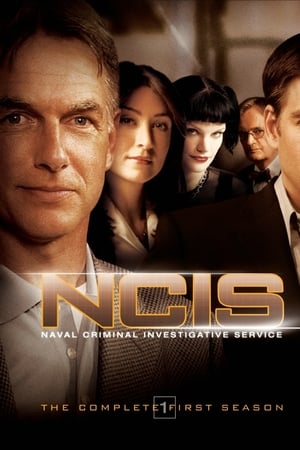 Navy: Investigación criminal temporada 1