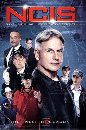 Navy: Investigación criminal temporada 12