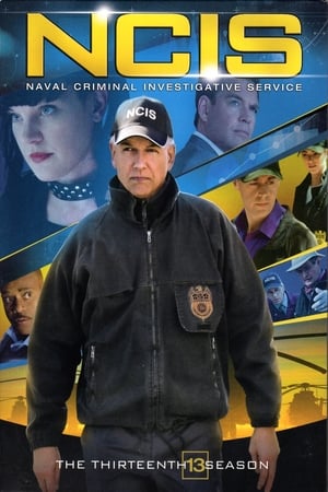 Navy: Investigación criminal temporada 13