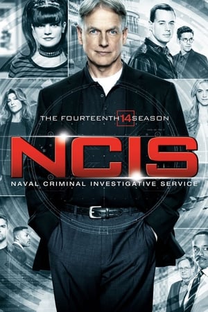 Navy: Investigación criminal temporada 14