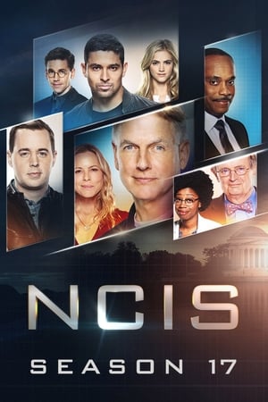 Navy: Investigación criminal temporada 17
