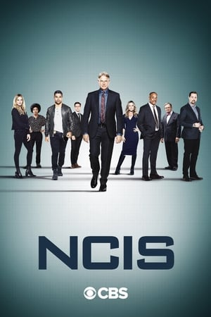 Navy: Investigación criminal temporada 18