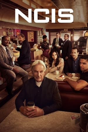 Navy: Investigación criminal temporada 19