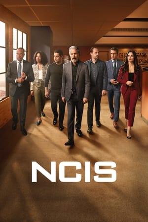 Navy: Investigación criminal temporada 21