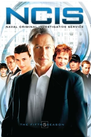 Navy: Investigación criminal temporada 5