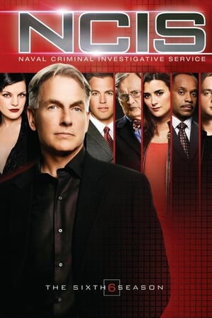 Navy: Investigación criminal temporada 6