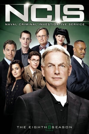 Navy: Investigación criminal temporada 8