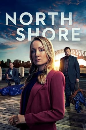 North Shore Temporada 1 poster