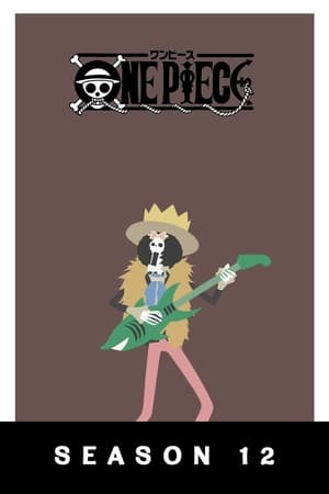 One Piece temporada 12