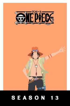 One Piece temporada 13