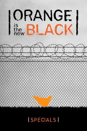 Orange Is the New Black Temporada 0 poster