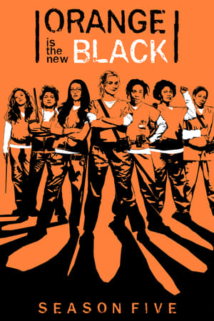 Orange Is the New Black Temporada 5 poster