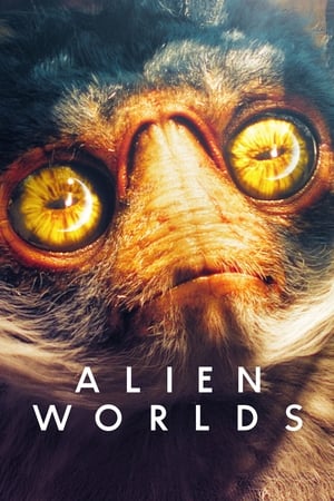 Otras galaxias Temporada 1 poster