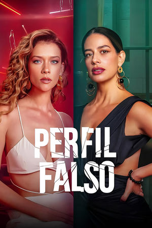Perfil falso Temporada 2 poster