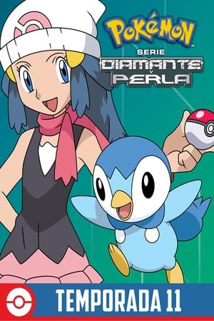 Pokémon - temporada 11 poster